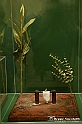 VBS_1434 - Castello di Miradolo - Mostra Oltre il giardino l'Abbecedario di paolo Pejrone